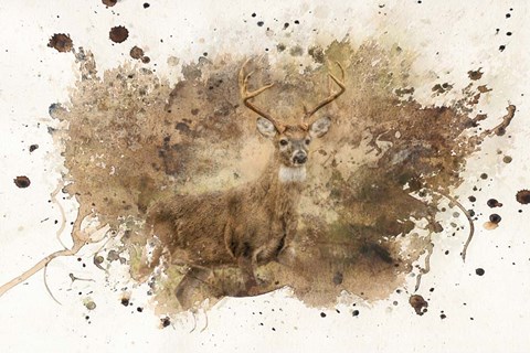 Framed Looking For Her Print