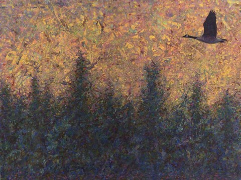 Framed Solitary Goose Print