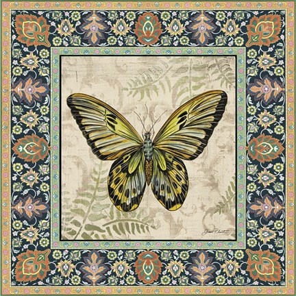 Framed Vintage Butterfly Print