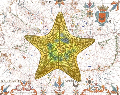 Framed Nautical Treasures-J Print