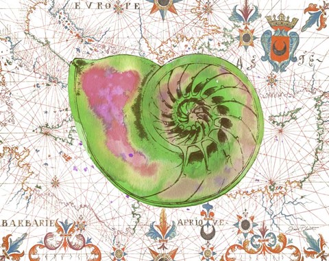 Framed Nautical Treasures-O Print