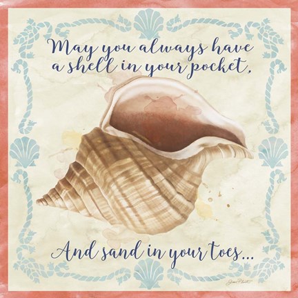 Framed Sea Shells  -  B Print