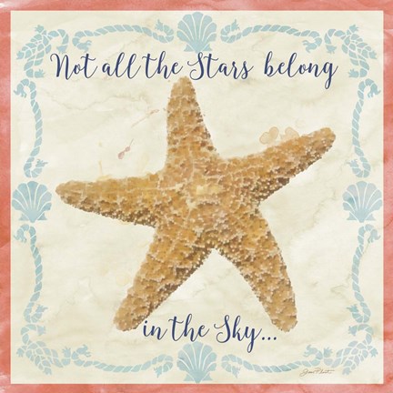 Framed Sea Shells  -  C Print