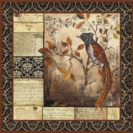 Framed Paradise Flycatcher Collage Print