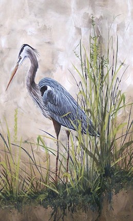 Framed In The Reeds - Blue Heron - B Print
