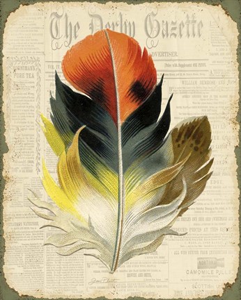 Framed Elegant Feather - C Print