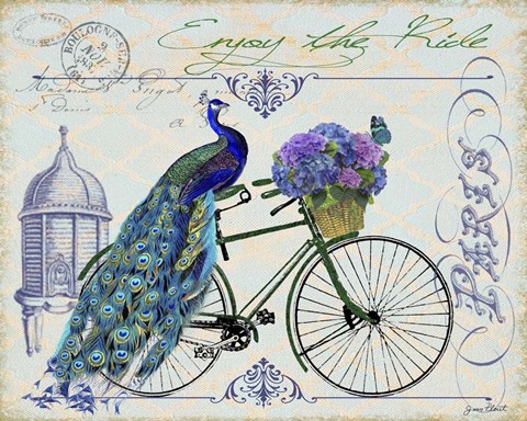 Framed Peacock On Bicylce I Print