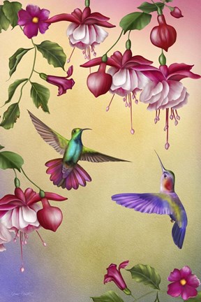 Framed Fuchsias &amp; Hummingbirds Print