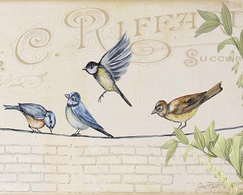 Framed Birds Gathered On Wire - Paris Wall - B Print