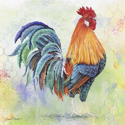 Framed Watercolor Rooster - B Print