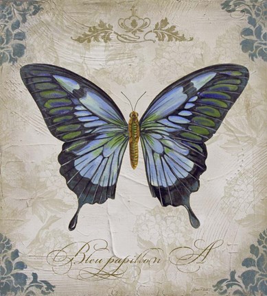 Framed Bleu Papillon - A Print
