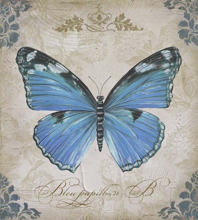Framed Bleu Papillon - B Print