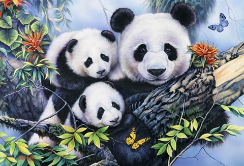 Framed Lovely Pandas Print