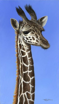 Framed Masai Youth Print