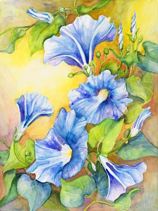 Framed Morning Glory Vine Print