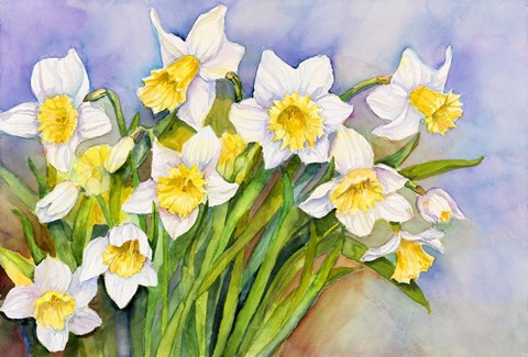 Framed Daffodil Cluster Print