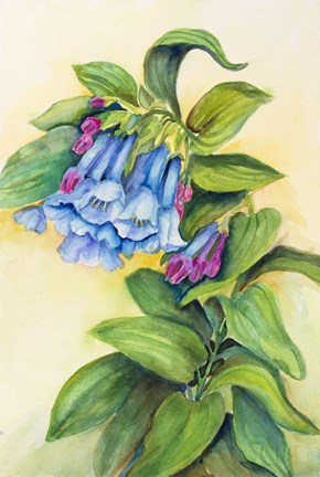 Framed Blue Bells Print