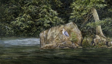 Framed Black Watch Print