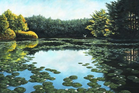 Framed Early Morning Rise Print