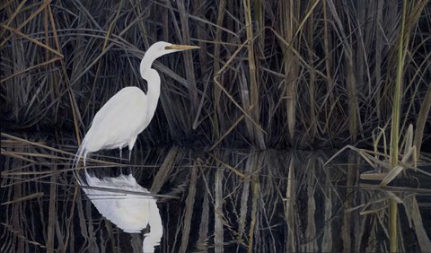 Framed Is a Virtue Print