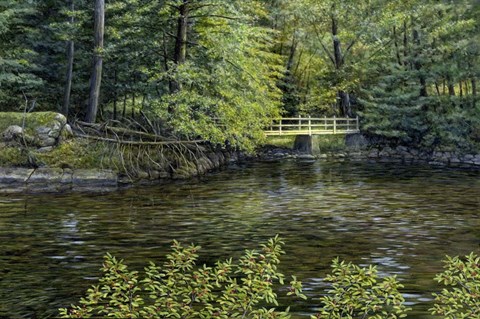 Framed IVY BRIDGE Print