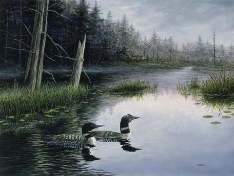 Framed Misty Morn Print