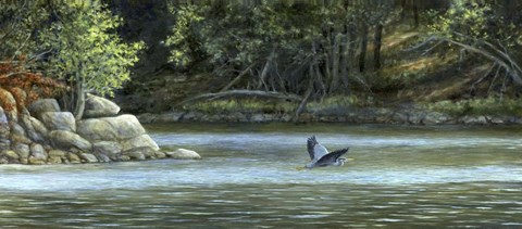 Framed Open Water Print