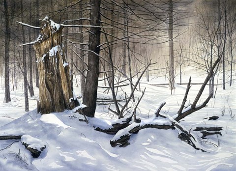 Framed Symphony of Life Print