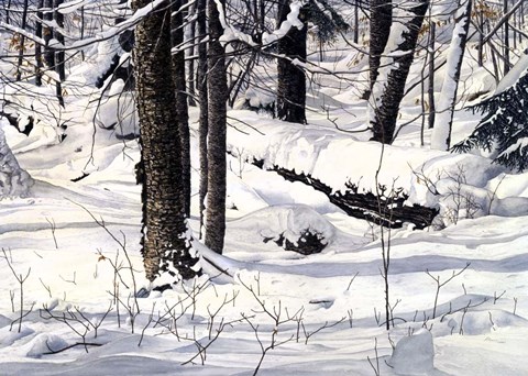 Framed Symphony of Light Print