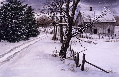 Framed Through the Woods Print