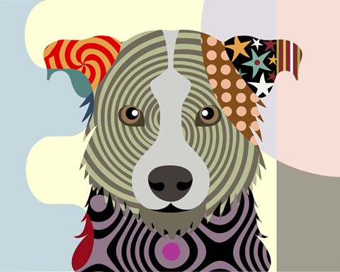 Framed Border Collie Print