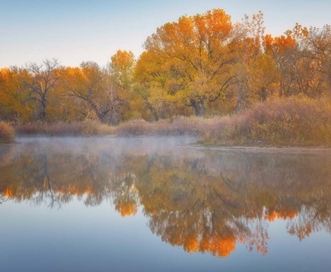Framed Autumn&#39;s Reflection Print