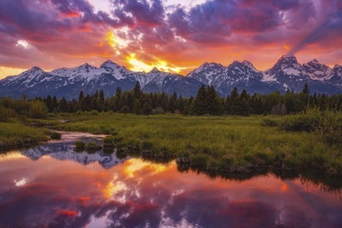 Framed Black Ponds Sunset 1 Print