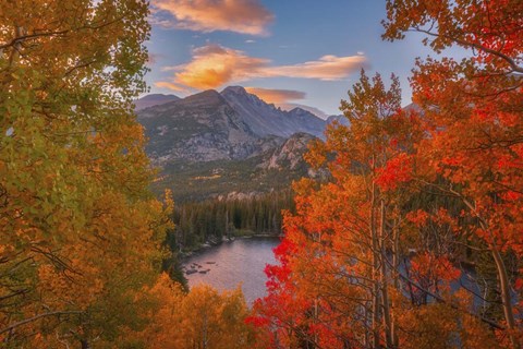 Framed Autumn&#39;s Breath Print