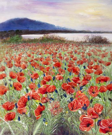 Framed Blooming Poppy 2 Print