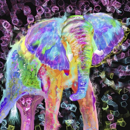 Framed Elephant Print