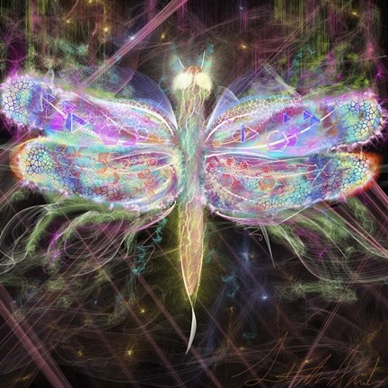 Framed Dragonfly Latern Print