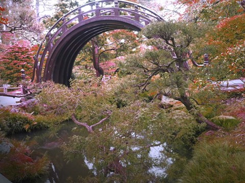 Framed Nature Park Print