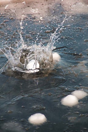 Framed Snowball Print