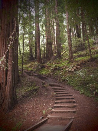 Framed Staircase Print