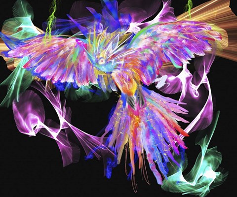 Framed Parrot Black Print