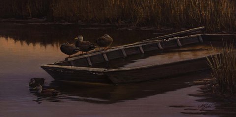 Framed Abandoned Skiff - Black Ducks Print