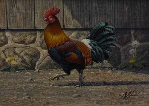 Framed Barnyard Strut - Bantam Rooster Print