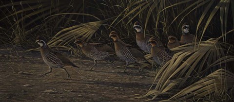 Framed Breaking Cover - Bobwhites Print