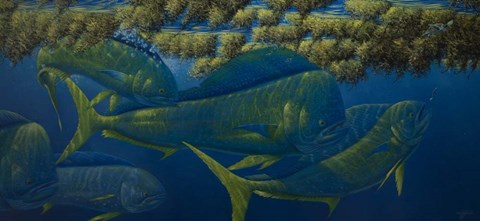 Framed Opalescence Print