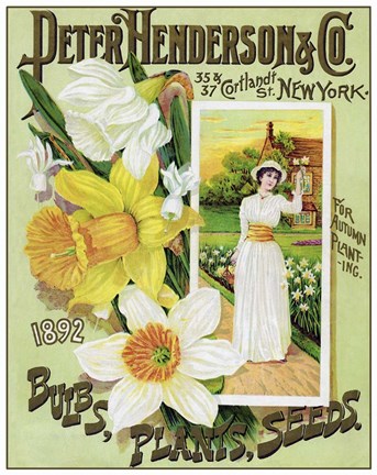 Framed Seeds 1 Print