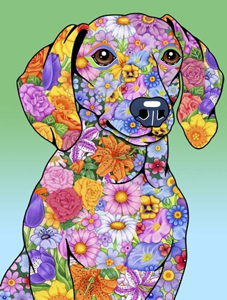 Framed Flowers Dachshund Print