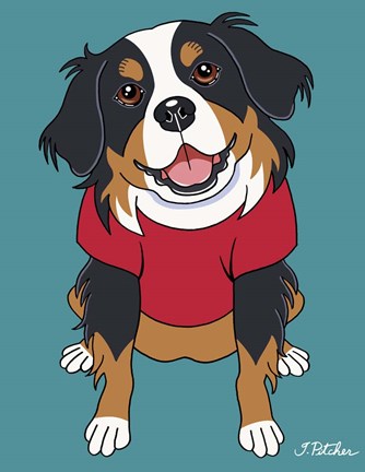 Framed Bernese Mountain Dog Print