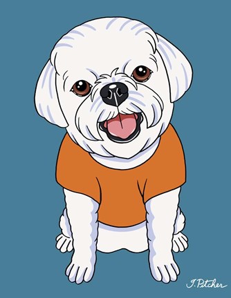 Framed Bichon Puppy Cut Print