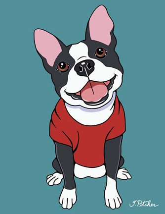 Framed Boston Terrier Black Print